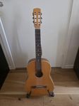 Aukustisk gitarr