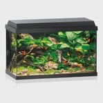Juwel Primo 70 l led ( svart) 