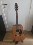 Aukustisk gitarr