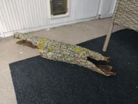 Reptilgrotta av naturlig bark