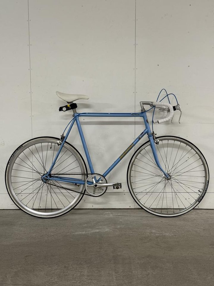 Nyrenoverad Vintage Nishiki S...
