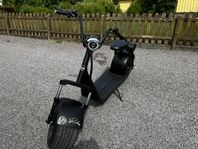 Fat Bike / Fat Glider OBG Rides 1000W