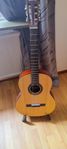 Gitarr med ställning