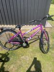 Cyklar 