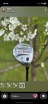 callaway big bertha trä 5