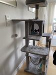 Katt hund möbler