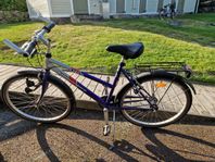DBS - Mountainbike 