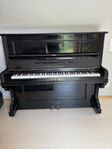 Nätt Piano med fin klang
