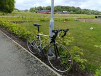 Racercykel Opus Schero 