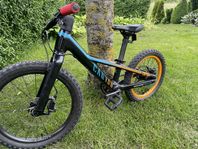 Canyon offspring
