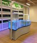 Akvarium Aquarium XXL Casco Pet