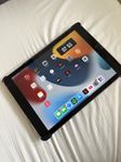 iPad 5: gen 