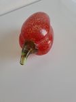 Kosta Boda paprika