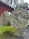 Ängshö