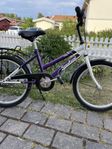 Svalan cykel 20”