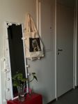 Mirror with white border