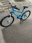 Mountainbike i väldigt bra skick!