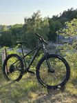TREK roscoe-7 