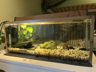 Akvarium