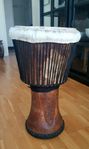 Djembe trumma Västafrika Afrika Guinea 
