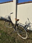 Damcykel Pilen 7vxl