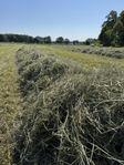 Skulltorkat hö i småbal & hö i plastade rundbalar
