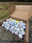 Hit-away golfbollar - 100 st