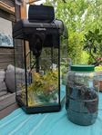 Två akvarium med tillbehör 