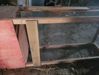 kaninbur