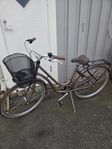 Monark Karin