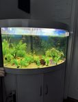 Akvarium 180L 