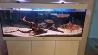 Juwel 450l