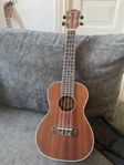  Everdeen UKCB Ukulele 