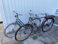 Gammal dam och herrcykel