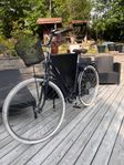 Pilen Lyz Cyckel 2024