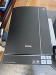 Epson V370 Photo Scanner