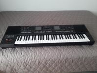 Roland E-A7