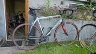 Fondriest RP 1.3