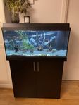 Komplett 100L Juwel Akvarium med fiskar och tillbehör