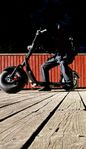 fatbike 1500w