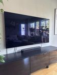 LG CX 65 tum OLED - DEFEKT
