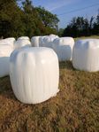 Hösilage