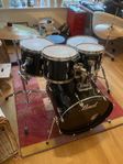 Pearl Export