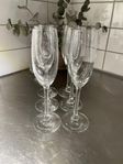 6 st champagneglas från Spiegelau