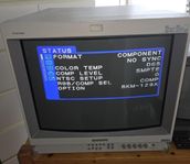 Sony Trinitron PVM-20L2MD Bkm 129x RGB/Component Monitor CRT