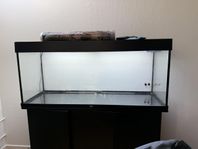 juwel rio 240 L 