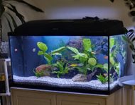 Akvarium