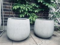 säljer 2 krukor från Plantagen, Joel