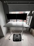 hemmakontor skrivbord, monitorer, monitorn arm, ståmatta 