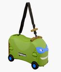 hand bagage 